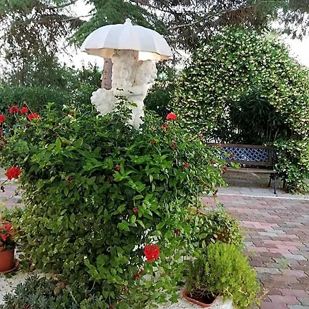 Dei Romanzi 3* Торторето